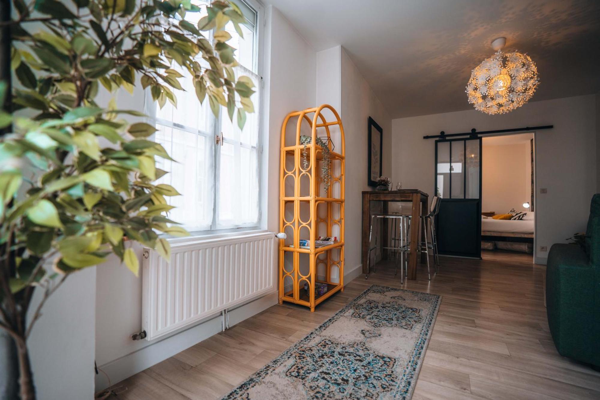 Les Petits Roys - Proche Centre Ville - Cosy Châteauroux Екстериор снимка